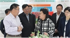 市委副書記、代市長艾麗華來我公司考察、調(diào)研