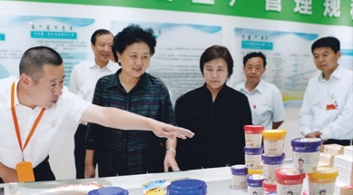 原中共中央政治局委員、國務(wù)院副總理劉延?xùn)|視察我公司